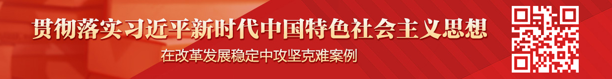 专栏:新时代攻坚克难案例选